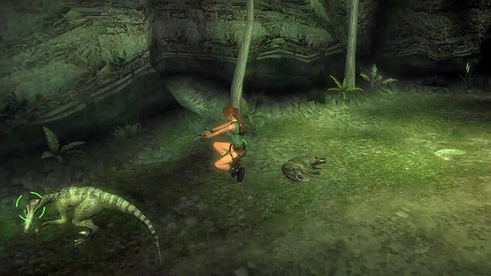 Tomb Raider: 10th Anniversary Edition Screenshot