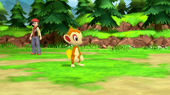 Pokémon Brilliant Diamond and Pokémon Shining Pearl Double Pack Screenshot