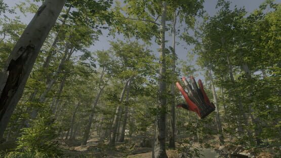 VR Walking Simulator cover