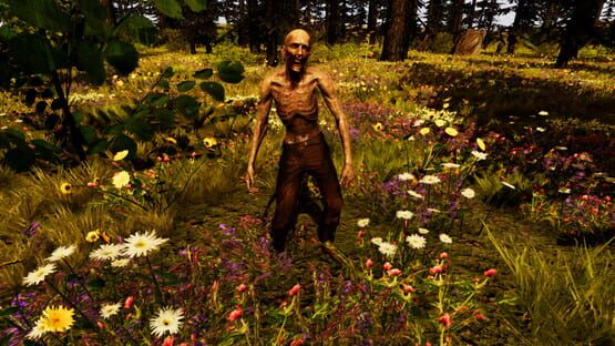 screenshot 25