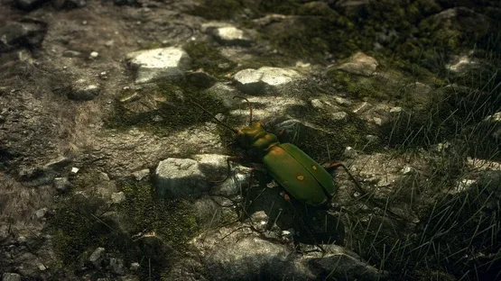 Insect Worlds screenshot 3