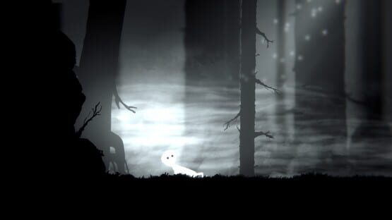 Divinest Light cover