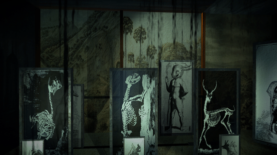 The Shape on the Ground Screenshot