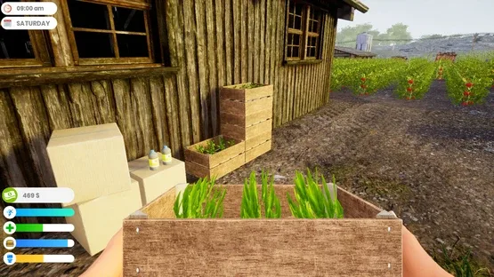 Thumbnail 10