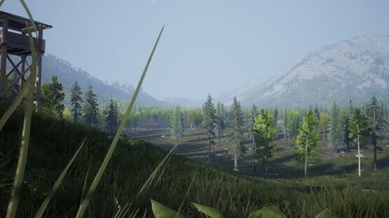 Afterinfection cover