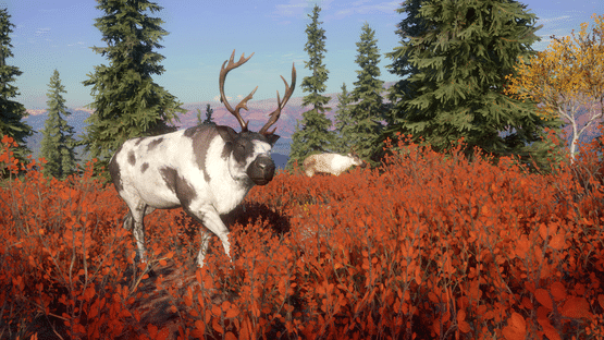 TheHunter: Call of the Wild - Yukon Valley Screenshot