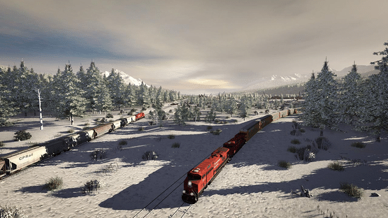 Trainz Railroad Simulator 2019: Canadian Rocky Mountains - Golden, BC Screenshot