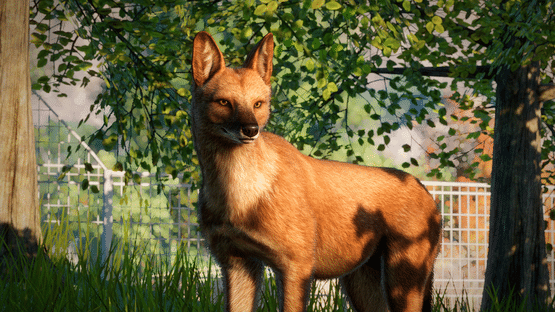 Planet Zoo: Southeast Asia Animal Pack Screenshot