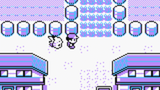 Pokémon Yellow Version: Special Pikachu Edition Screenshot