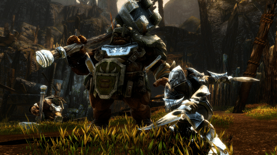 Kingdoms of Amalur: Re-Reckoning - Fate Edition Screenshot