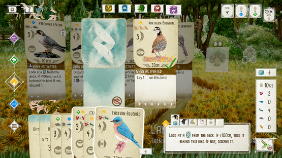 Wingspan: Special Edition Screenshot