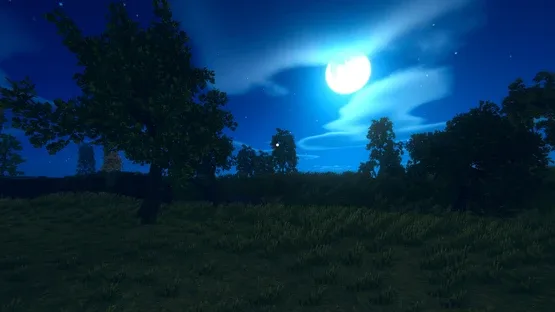 Thumbnail 14