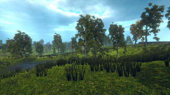 h-fit screenshot