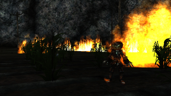 EverQuest: Call of the Forsaken Screenshot