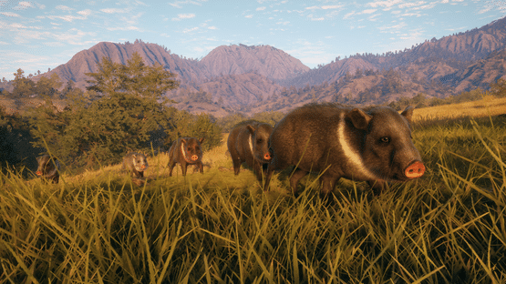 TheHunter: Call of the Wild - Rancho del Arroyo Screenshot