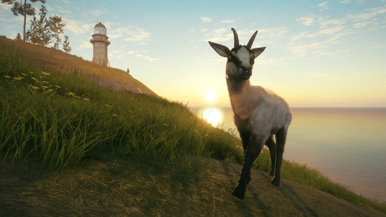 TheHunter: Call of the Wild - Te Awaroa National Park Screenshot