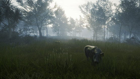 TheHunter: Call of the Wild - Te Awaroa National Park Screenshot