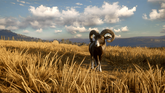 TheHunter: Call of the Wild - Cuatro Colinas Game Reserve Screenshot