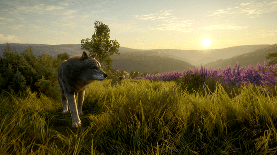 TheHunter: Call of the Wild - Cuatro Colinas Game Reserve Screenshot