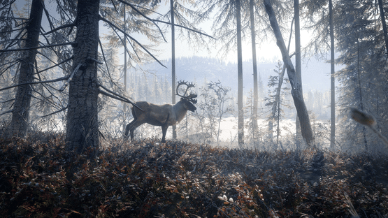 TheHunter: Call of the Wild - Medved-Taiga Screenshot