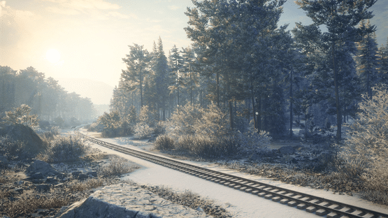 TheHunter: Call of the Wild - Medved-Taiga Screenshot