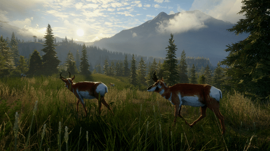 TheHunter: Call of the Wild - Silver Ridge Peaks Screenshot