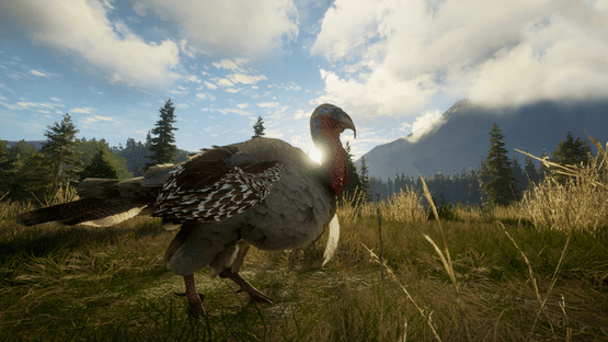 TheHunter: Call of the Wild - Silver Ridge Peaks Screenshot