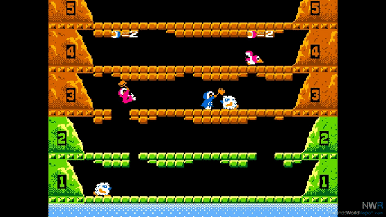 Arcade Archives: Ice Climber Screenshot