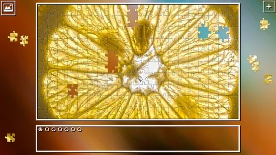Thumbnail 21