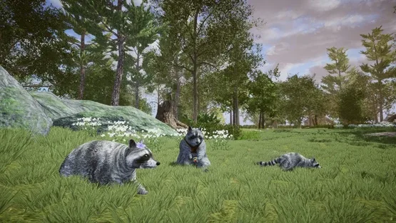 Wanted Raccoon screenshot 11