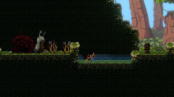 Bacuri Screenshot