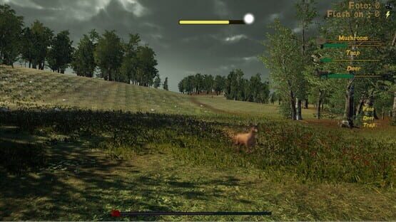 screenshot 29