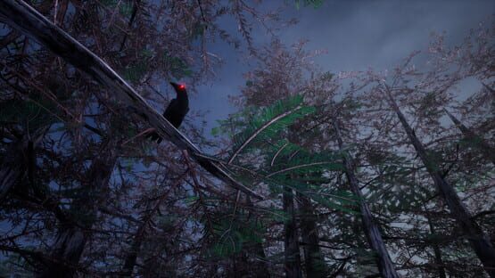 screenshot 18