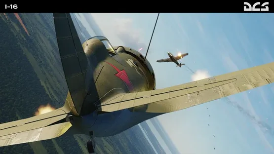 Thumbnail 39