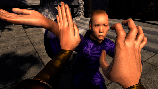 Dragon Fist: VR Kung Fu Screenshot