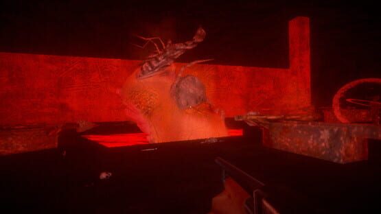 Fortuito: Lost History cover