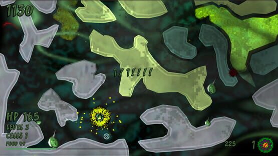 screenshot 19
