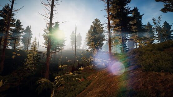 screenshot 25