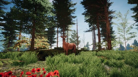 screenshot 23
