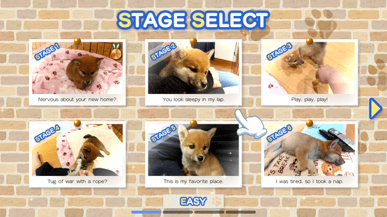 Shiba Mekuri Screenshot