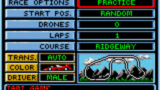 Checkered Flag Screenshot