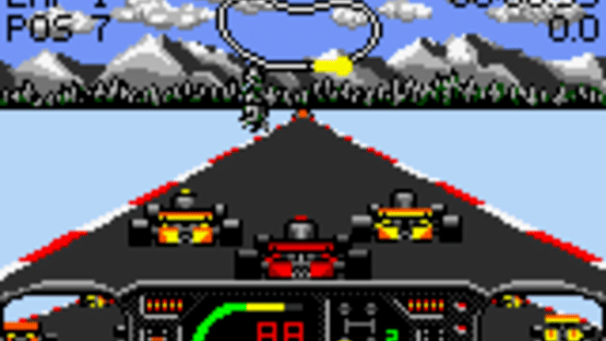 Checkered Flag Screenshot