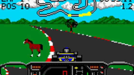 Checkered Flag Screenshot