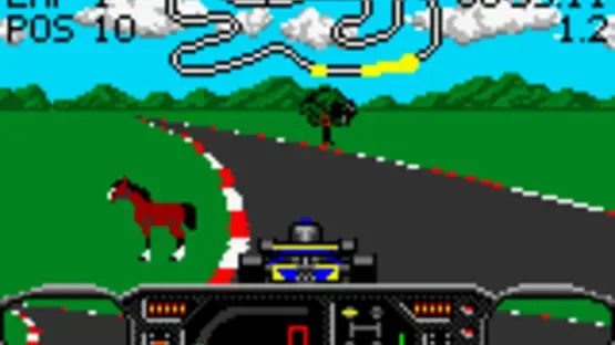 Checkered Flag screenshot 4