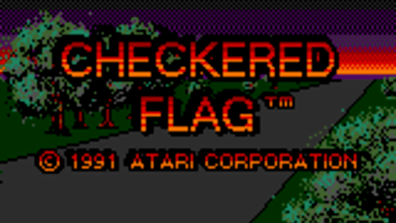 Checkered Flag Screenshot