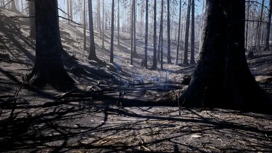 Medieval Apocalypse screenshot 6