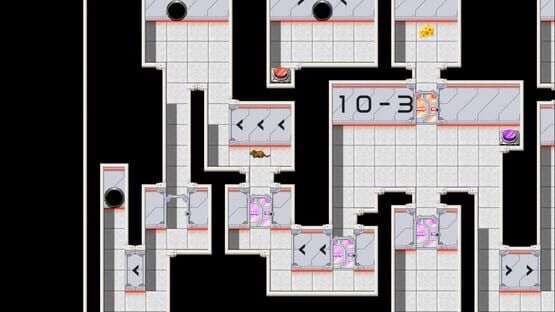 Whiskers & Tail screenshot 5