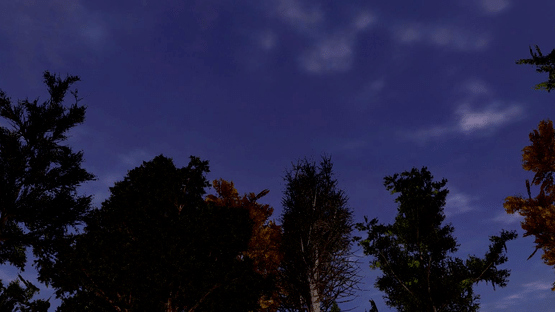 Degenerate Souls Screenshot