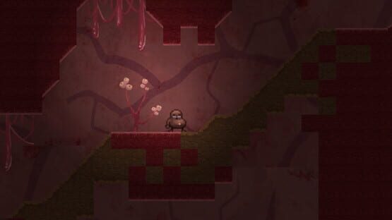 The Runaway Feijoão screenshot 4