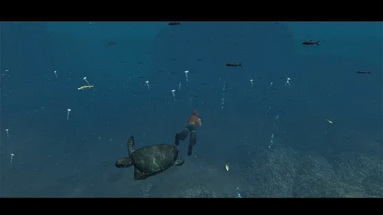 Leonardo's Island screenshot 12